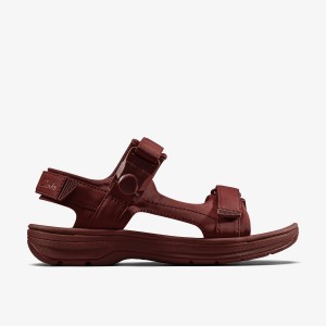 Clarks Martine Rose Mens Sandal 2 Oxblood Textile Erkek Sandalet Bordo | 30978CFMS