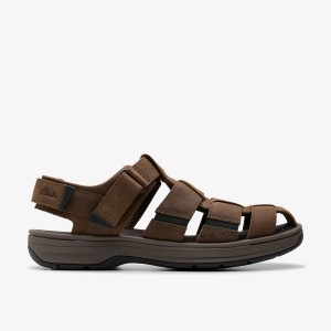 Clarks Saltway Cove Dark Brown Leather Erkek Sandalet Koyu Kahverengi | 03965REIK