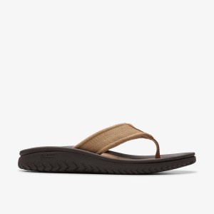 Clarks Wesley Belt Desert Erkek Sandalet Desert | 85314DGKZ